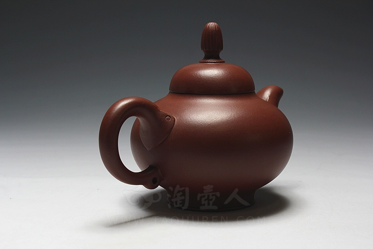 菊顶