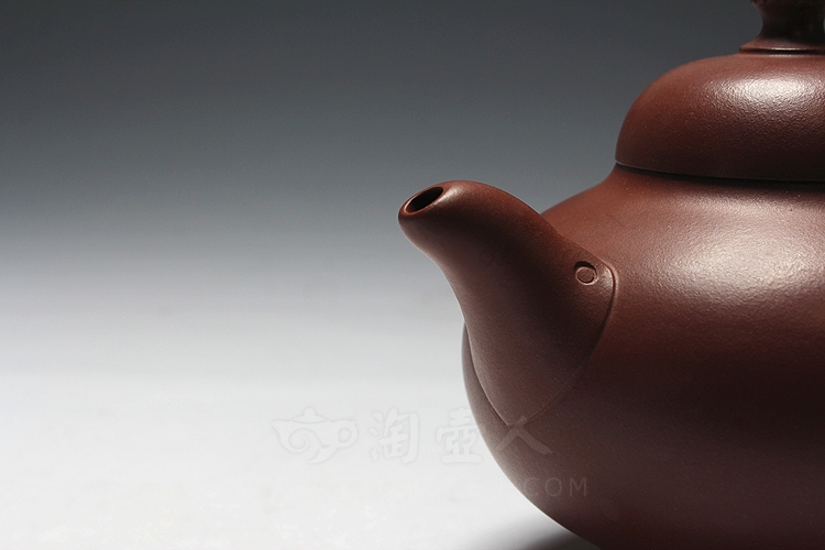 菊顶