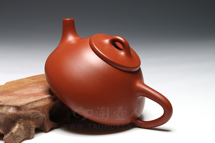 小石瓢