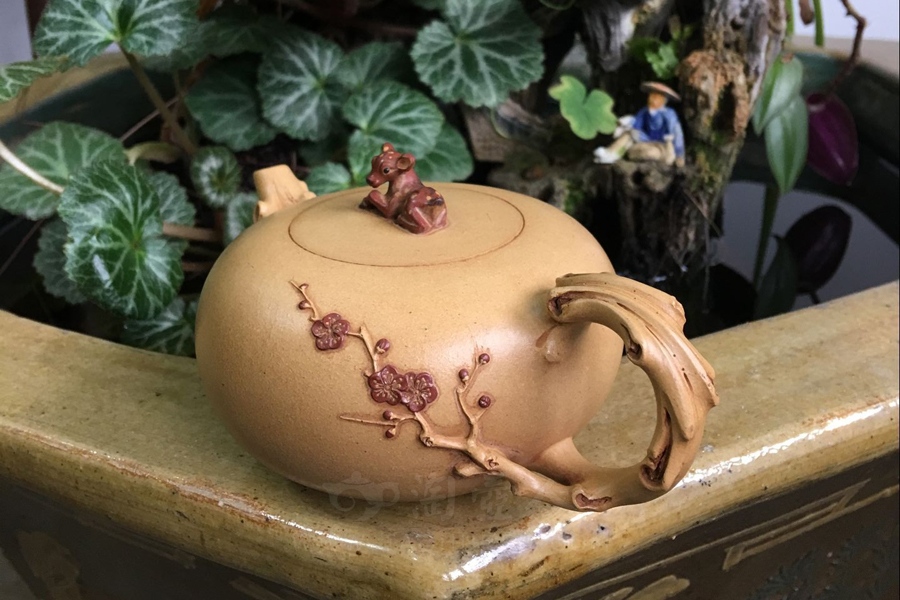 禄临壶