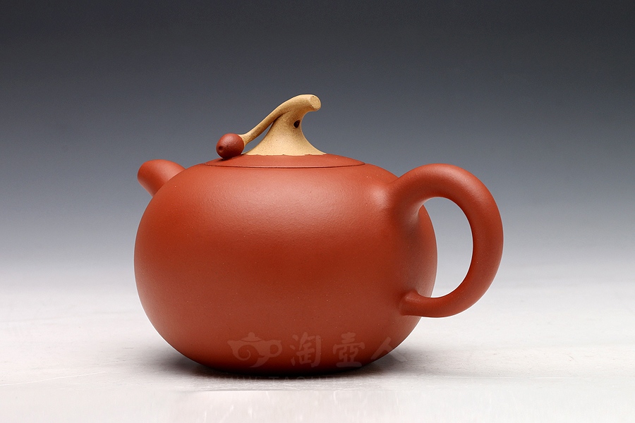 红豆