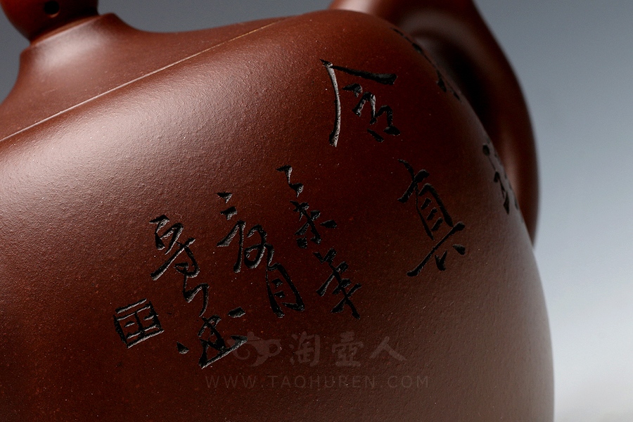 顶红翎(大)