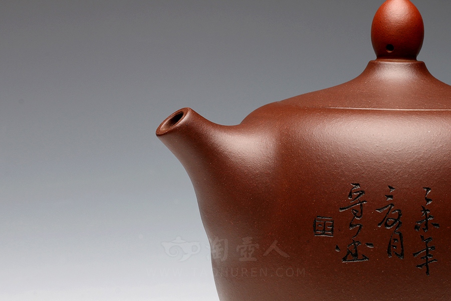 顶红翎(大)
