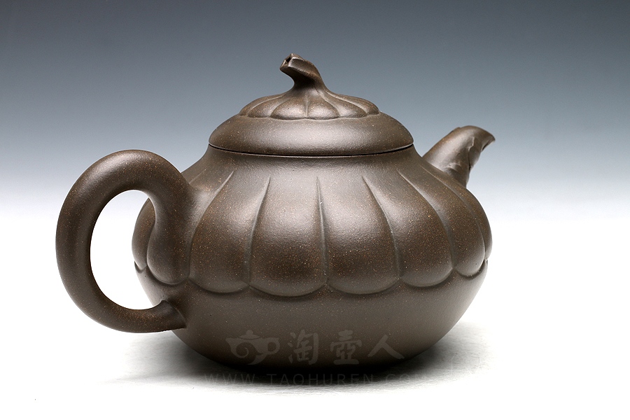 绿菊