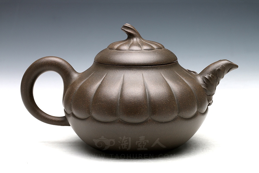 绿菊