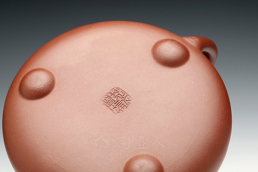 大满瓢(梅花)