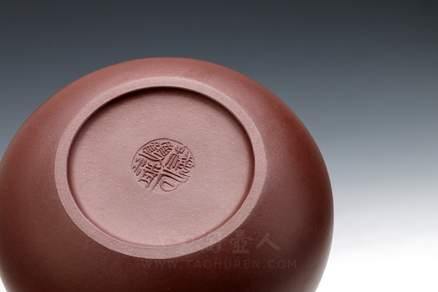 小玉兰#3