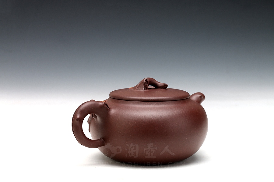 小玉兰#3