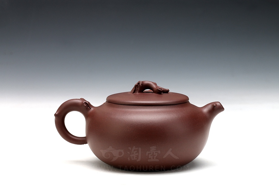 小玉兰#3