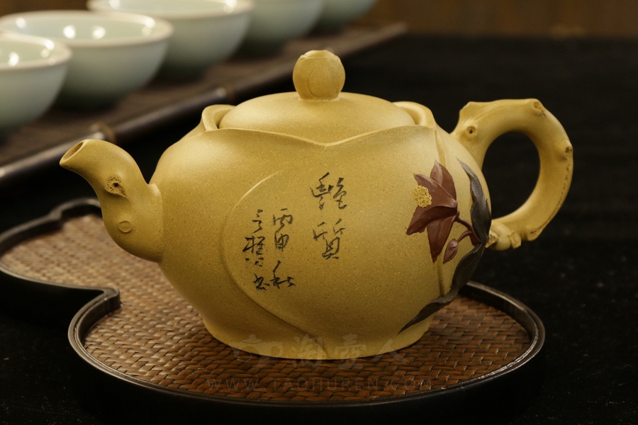 艳质玉兰