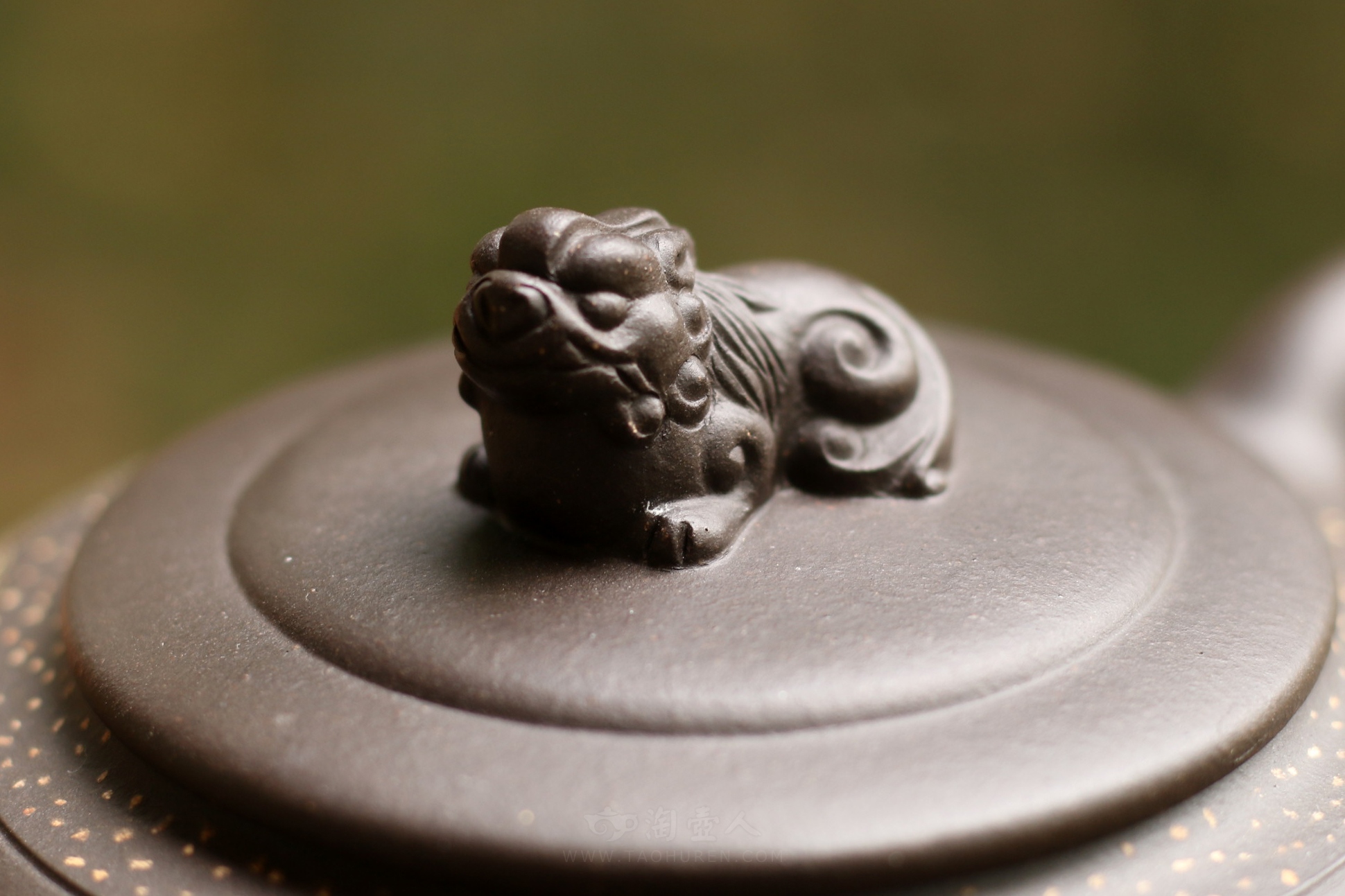 狮运