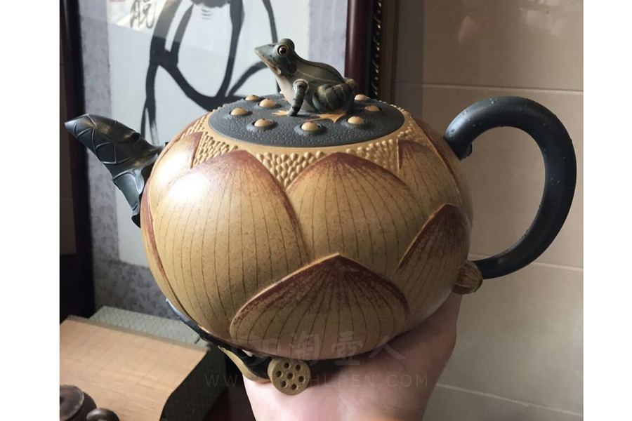 荷塘情趣