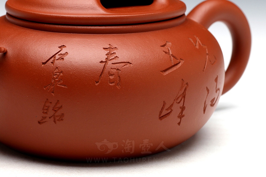 牛牛(谭泉海铭)