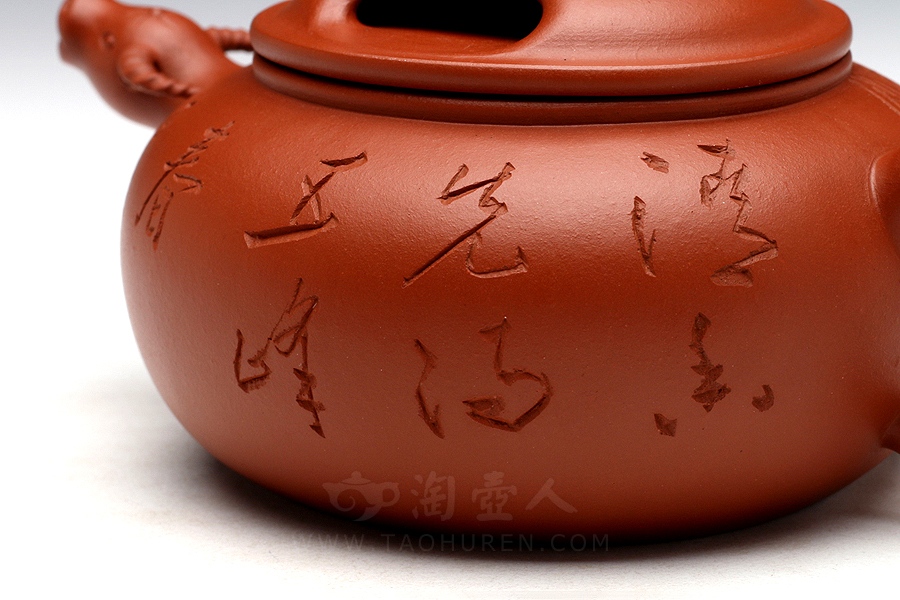 牛牛(谭泉海铭)