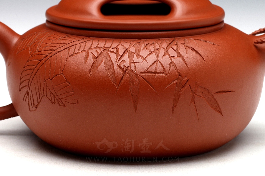 牛牛(谭泉海铭)