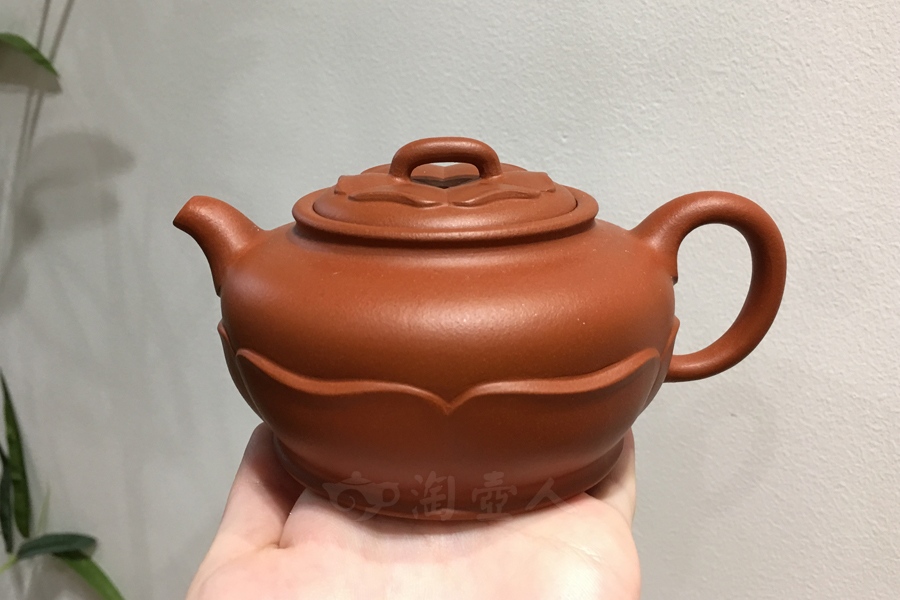 禅莲