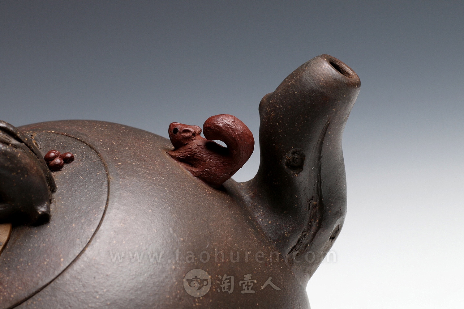 松鼠葡萄