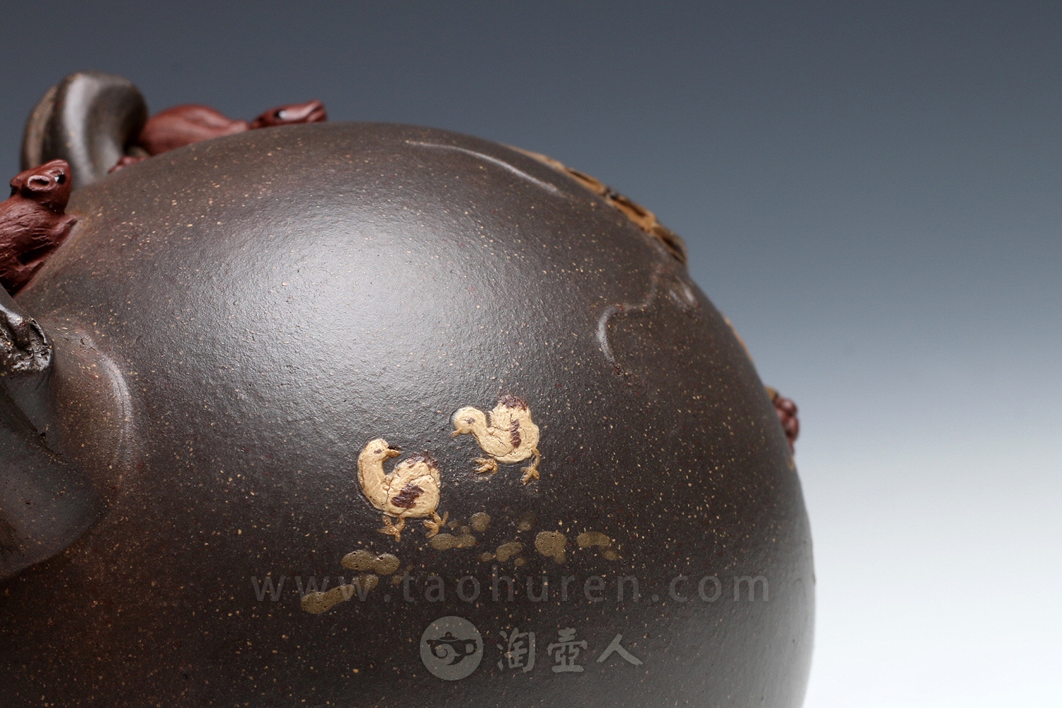 松鼠葡萄