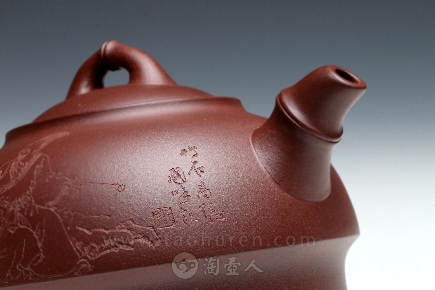 劲竹