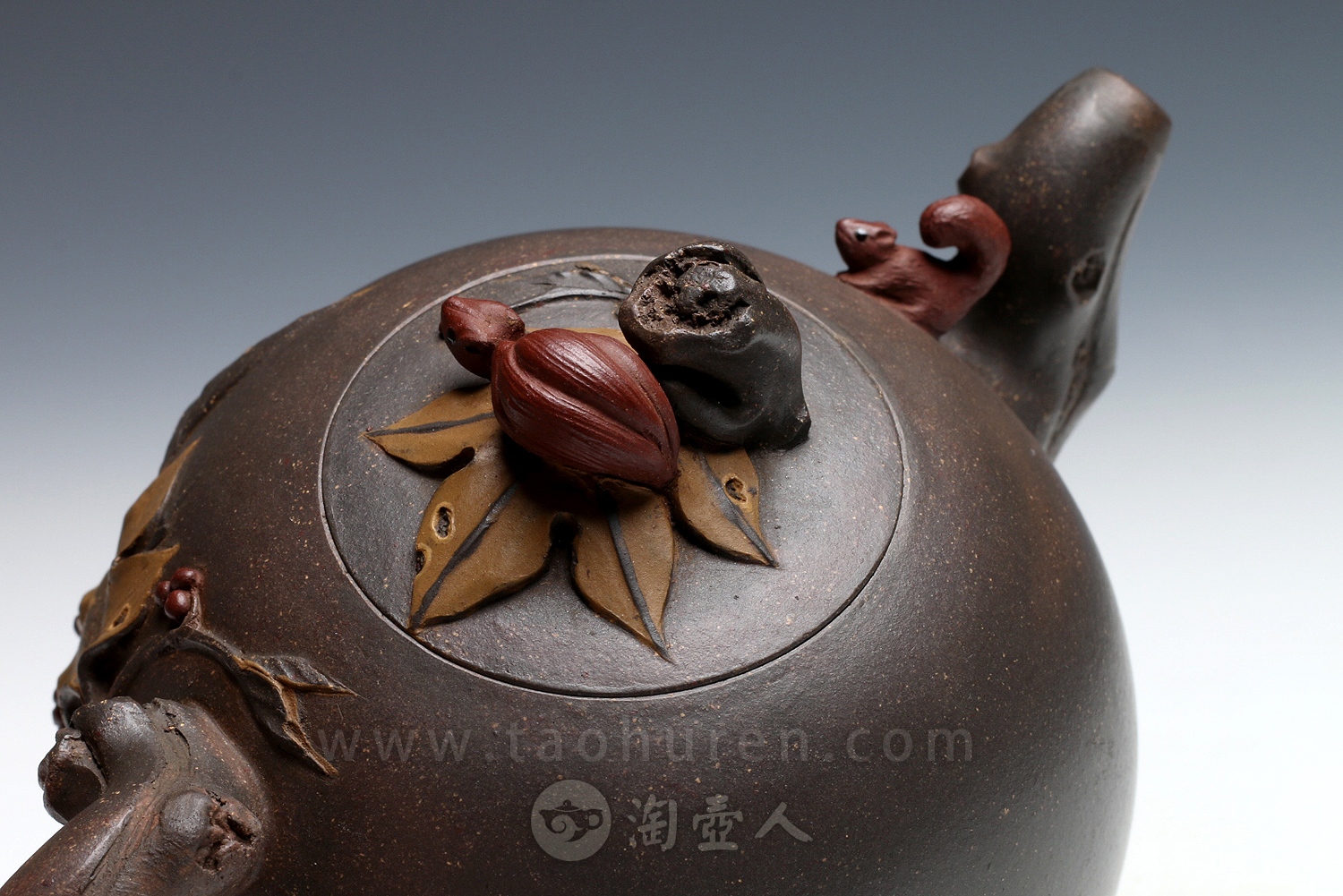 松鼠葡萄