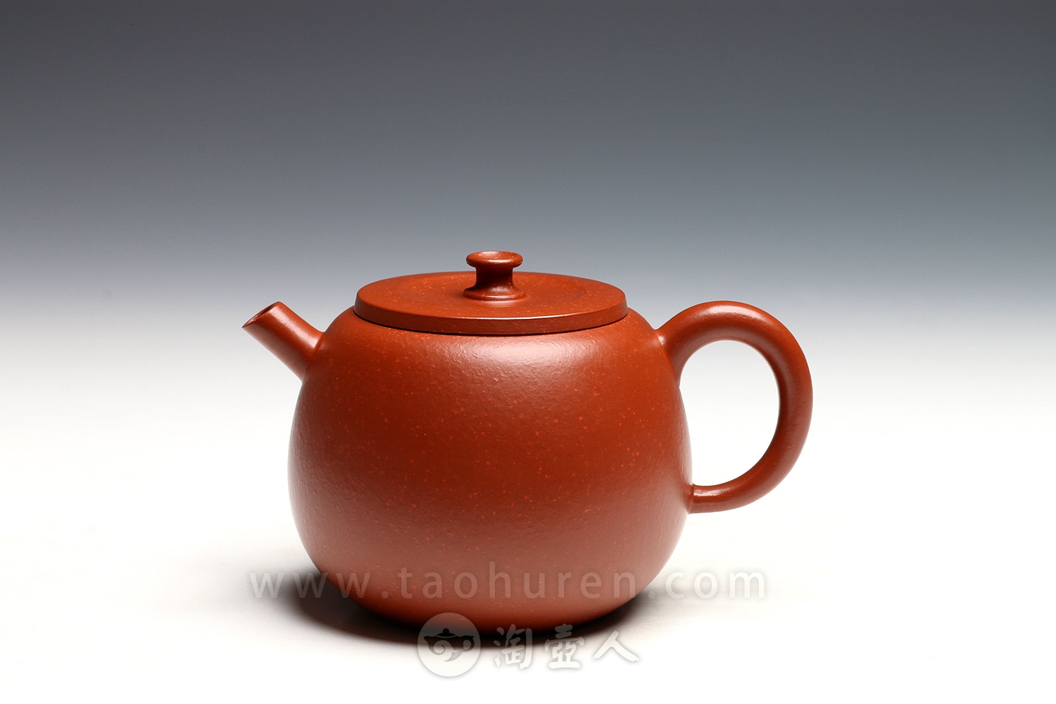 圆尊