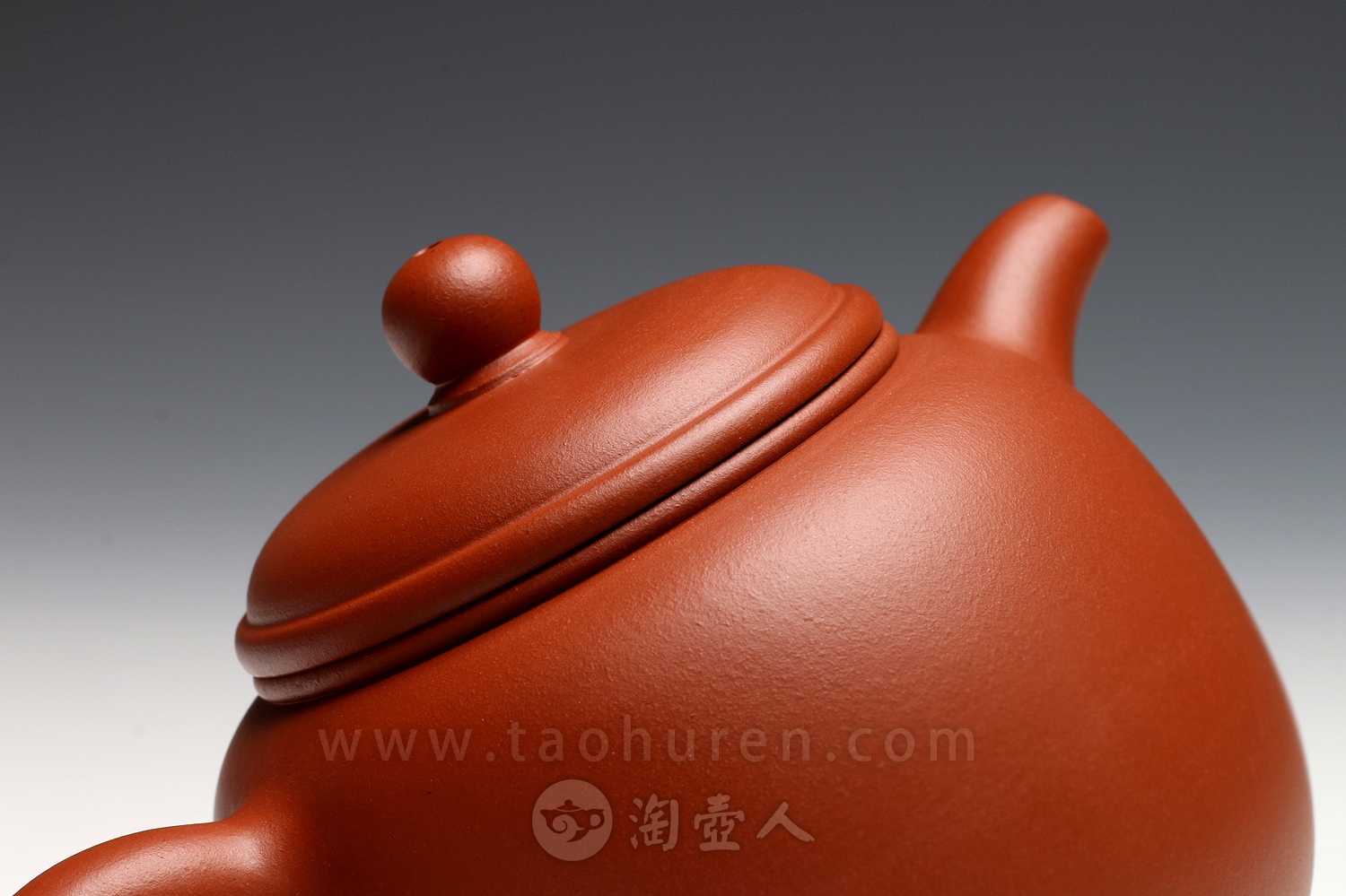 匏尊