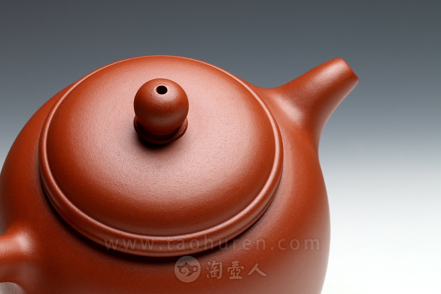 匏尊