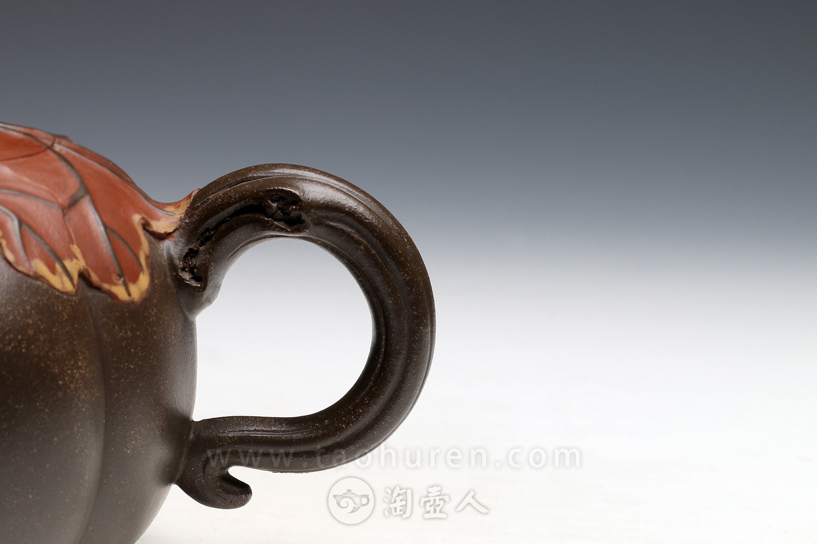 焦叶南瓜