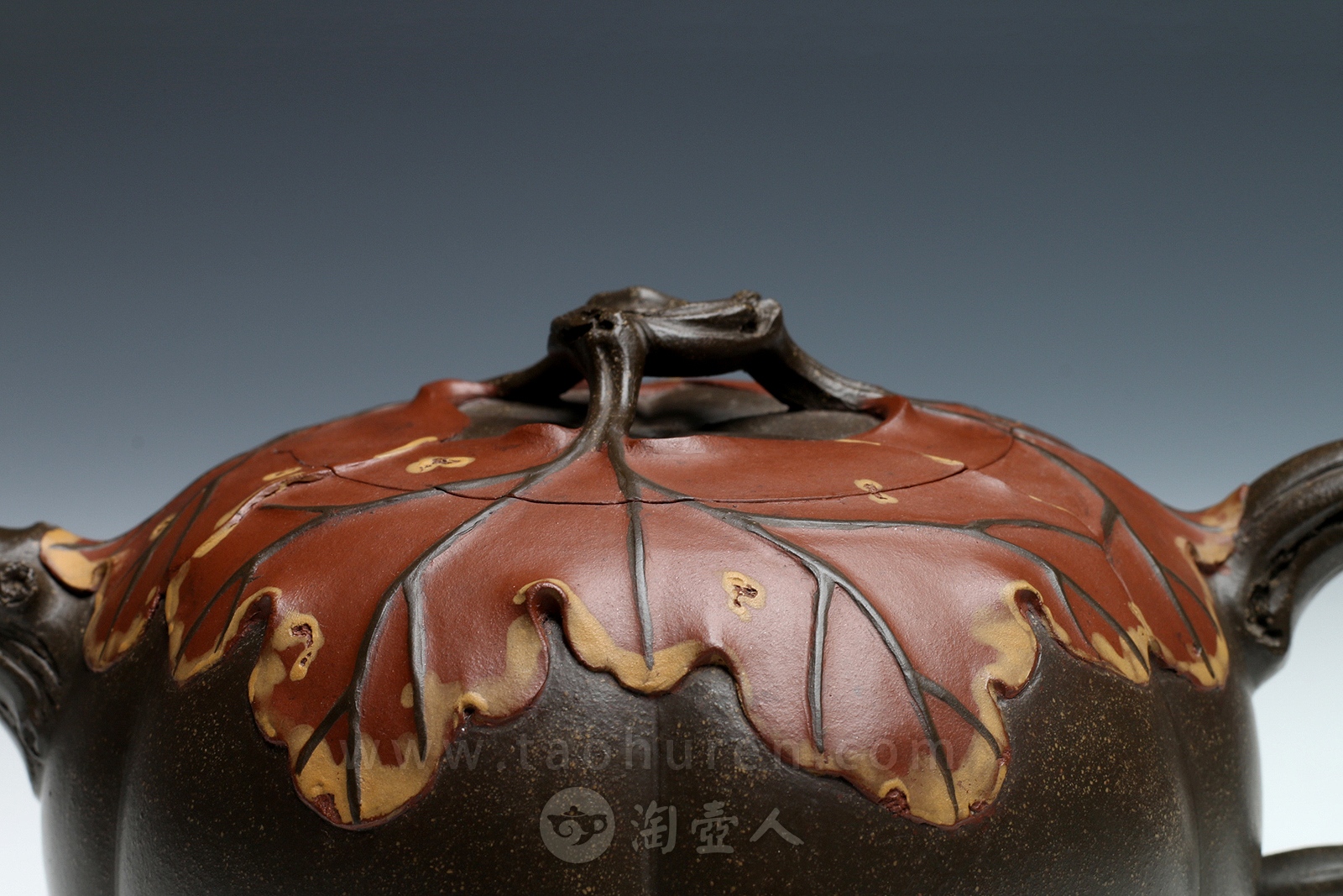 焦叶南瓜