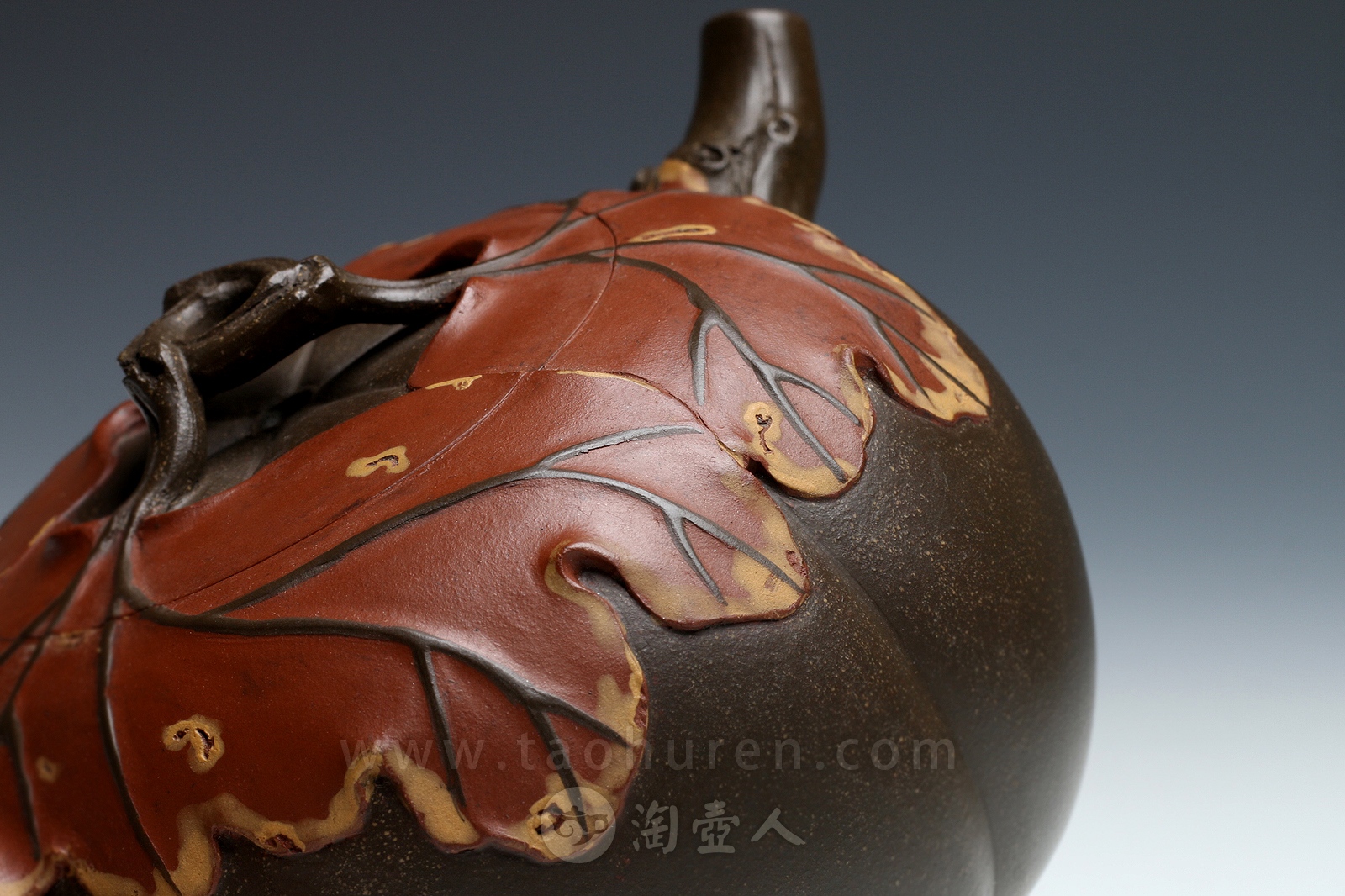 焦叶南瓜