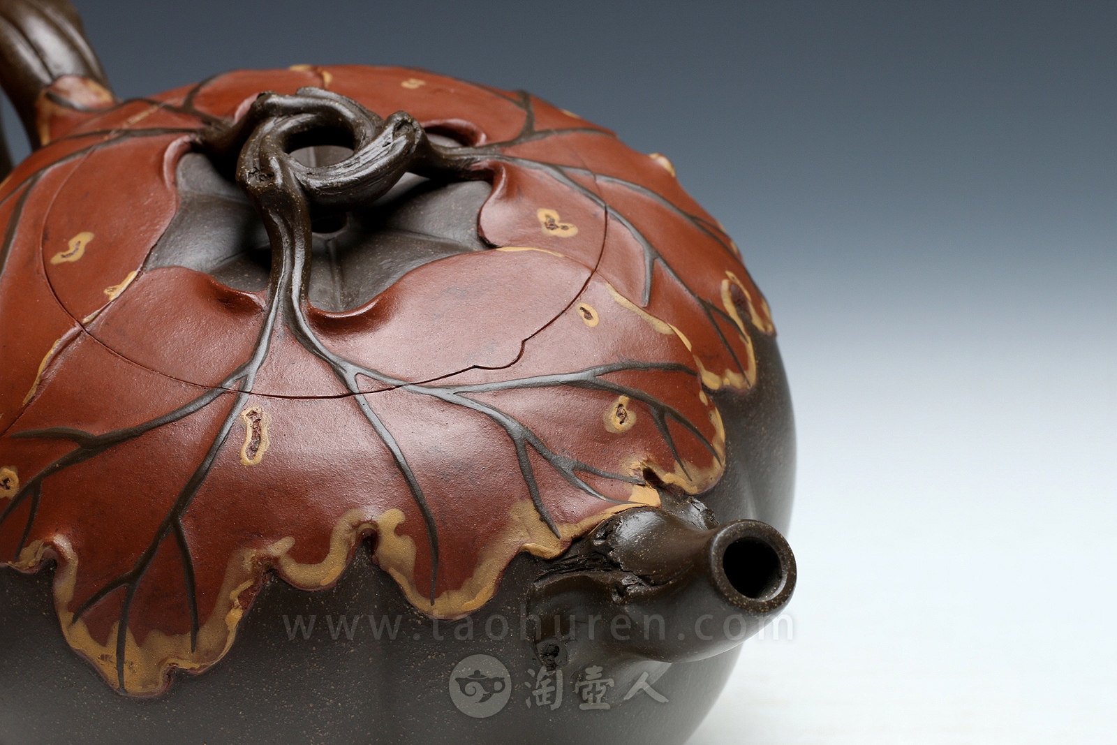 焦叶南瓜