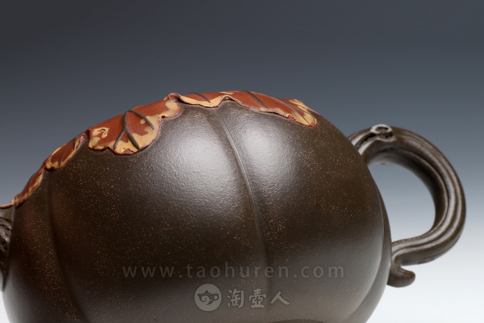 焦叶南瓜