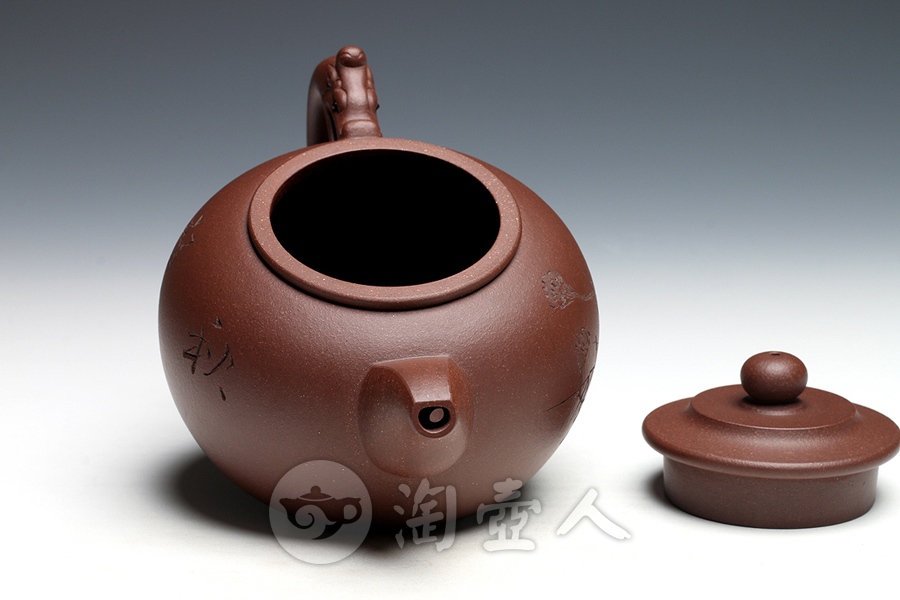 龙吻(陆越子装饰)