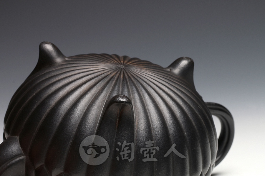 三丁合菊