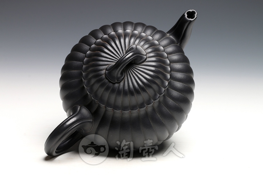 三丁合菊