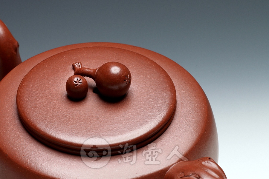 金果枇杷