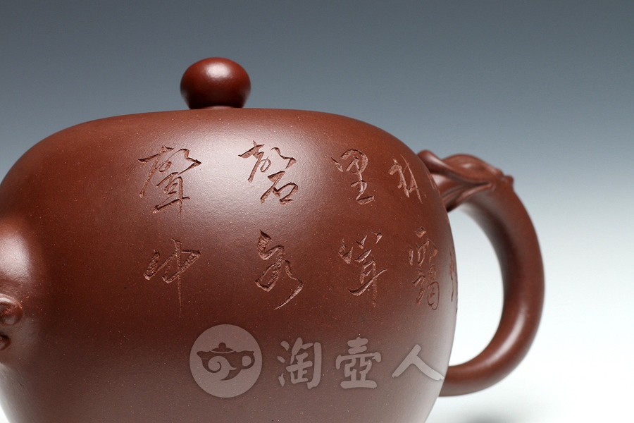 龙瑞