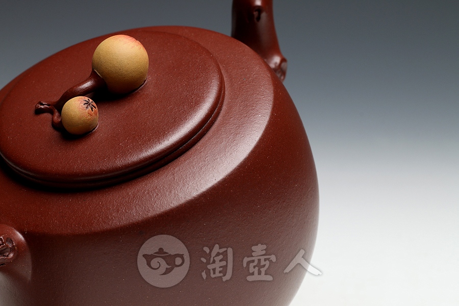 金果枇杷