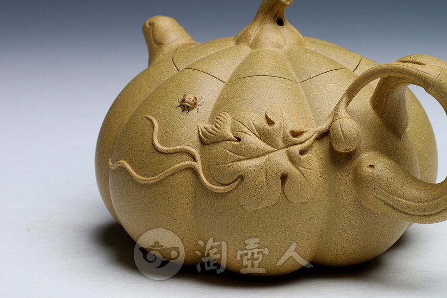 南瓜(小)
