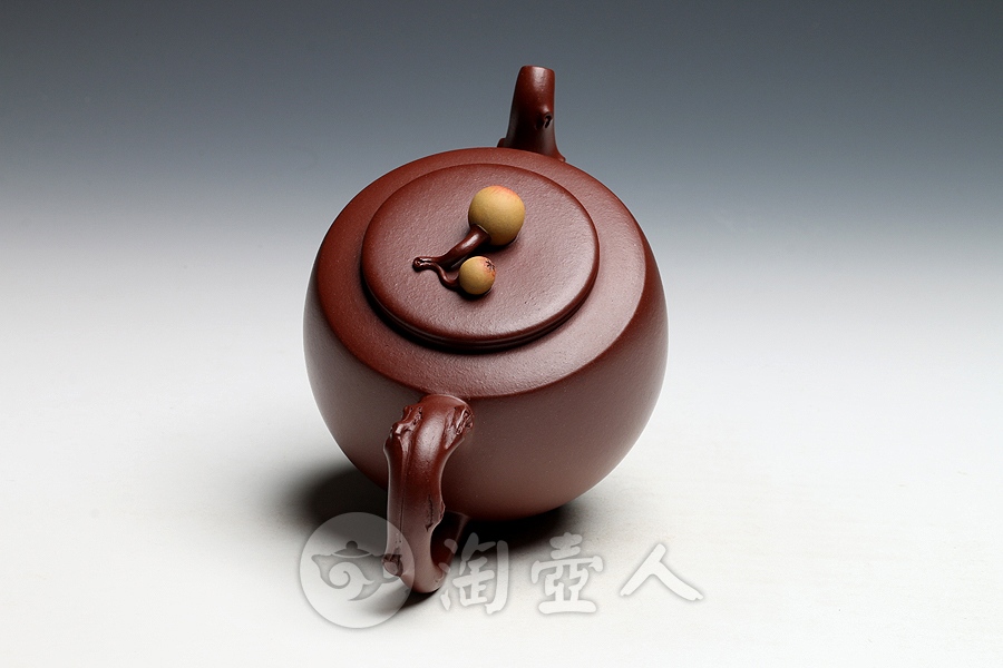 金果枇杷