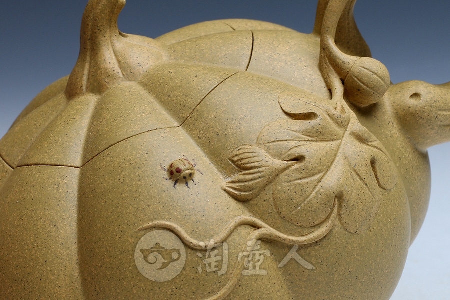 南瓜(小)