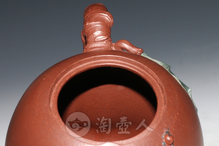 紫茄段