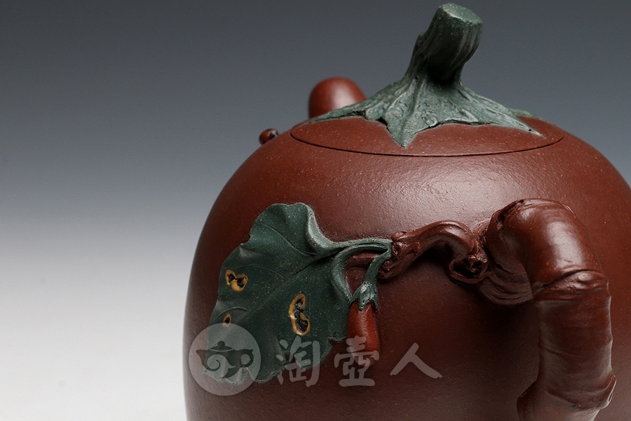 紫茄段
