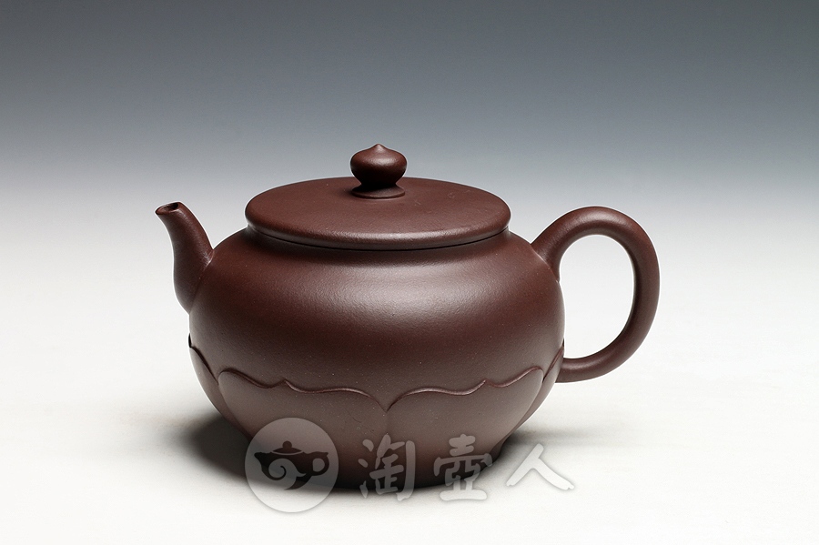 莲花(矮)