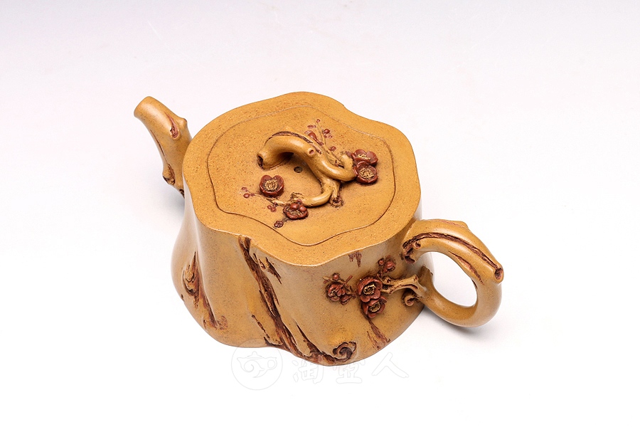 小金梅
