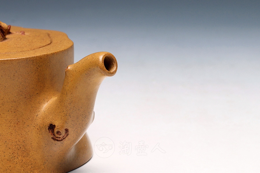 小金梅