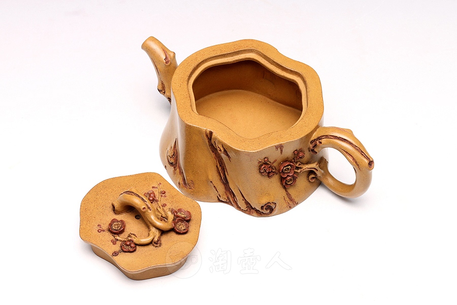小金梅