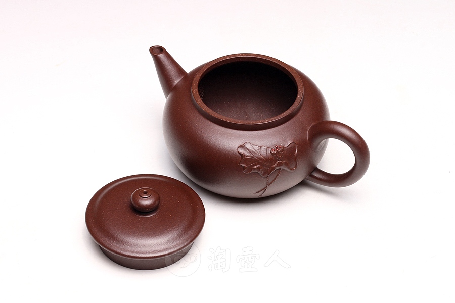 禅莲