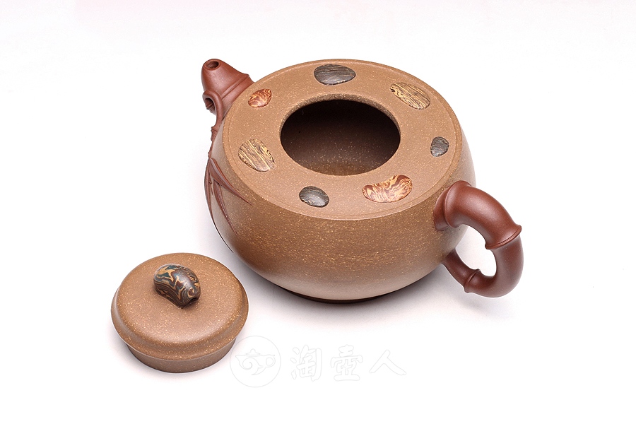 金陵石竹
