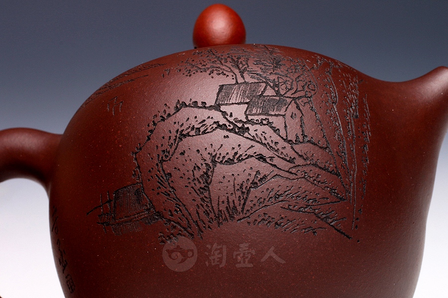 顶红翎(小)